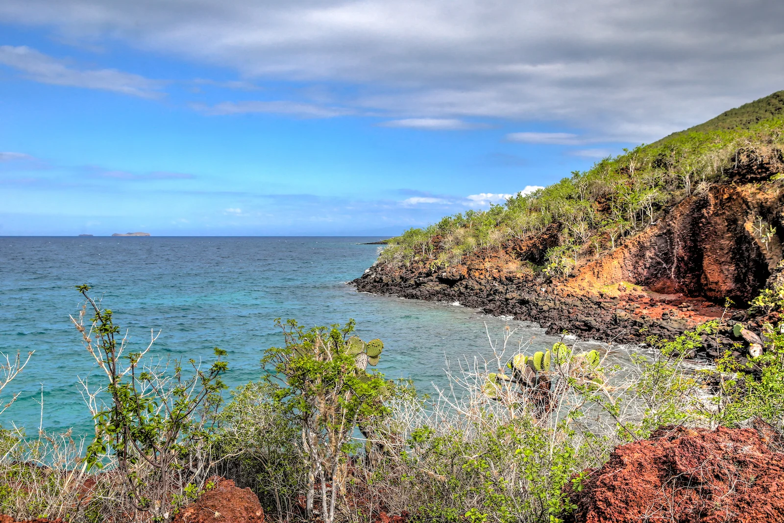 GALAPAGOS DAY 2 B-18.JPG