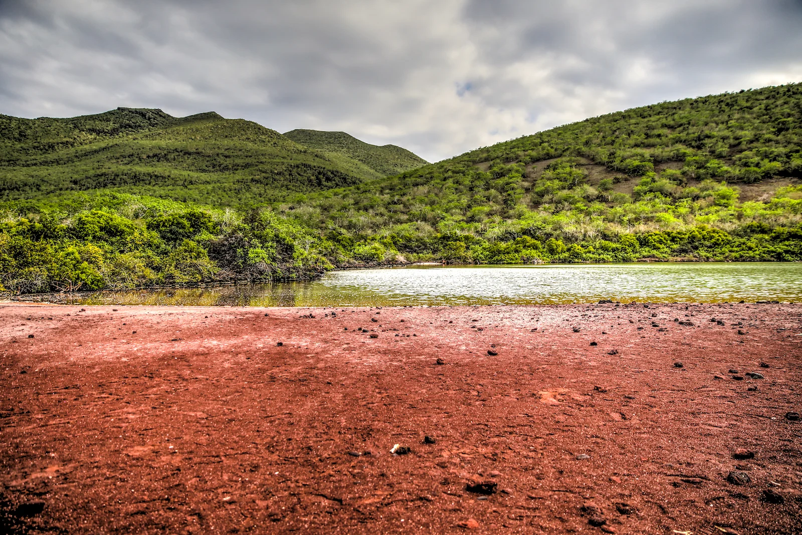 GALAPAGOS DAY 2 B-20.JPG