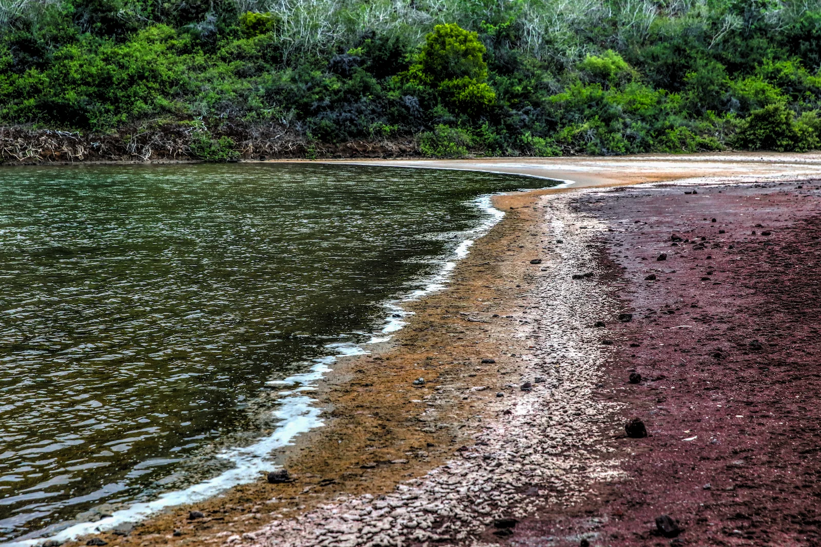 GALAPAGOS DAY 2 B-21.JPG