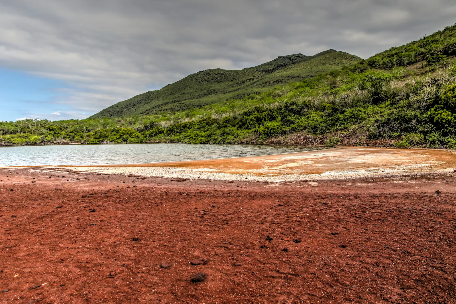 GALAPAGOS DAY 2 B-22.JPG
