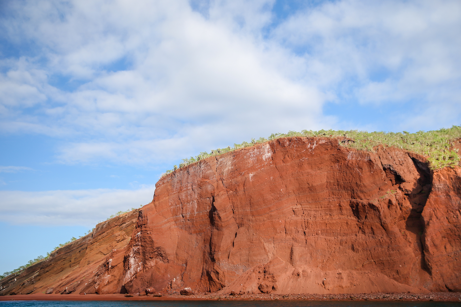 GALAPAGOS DAY 2 B-26.JPG