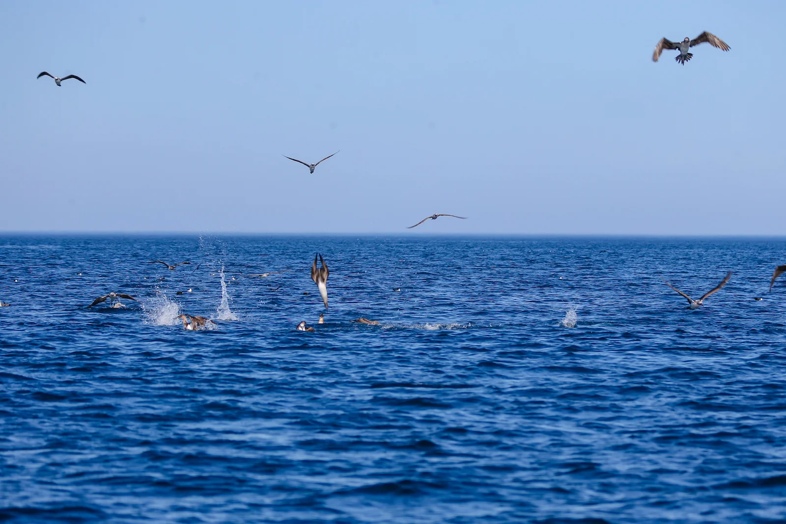 GALAPAGOS DAY 3 A-27.JPG