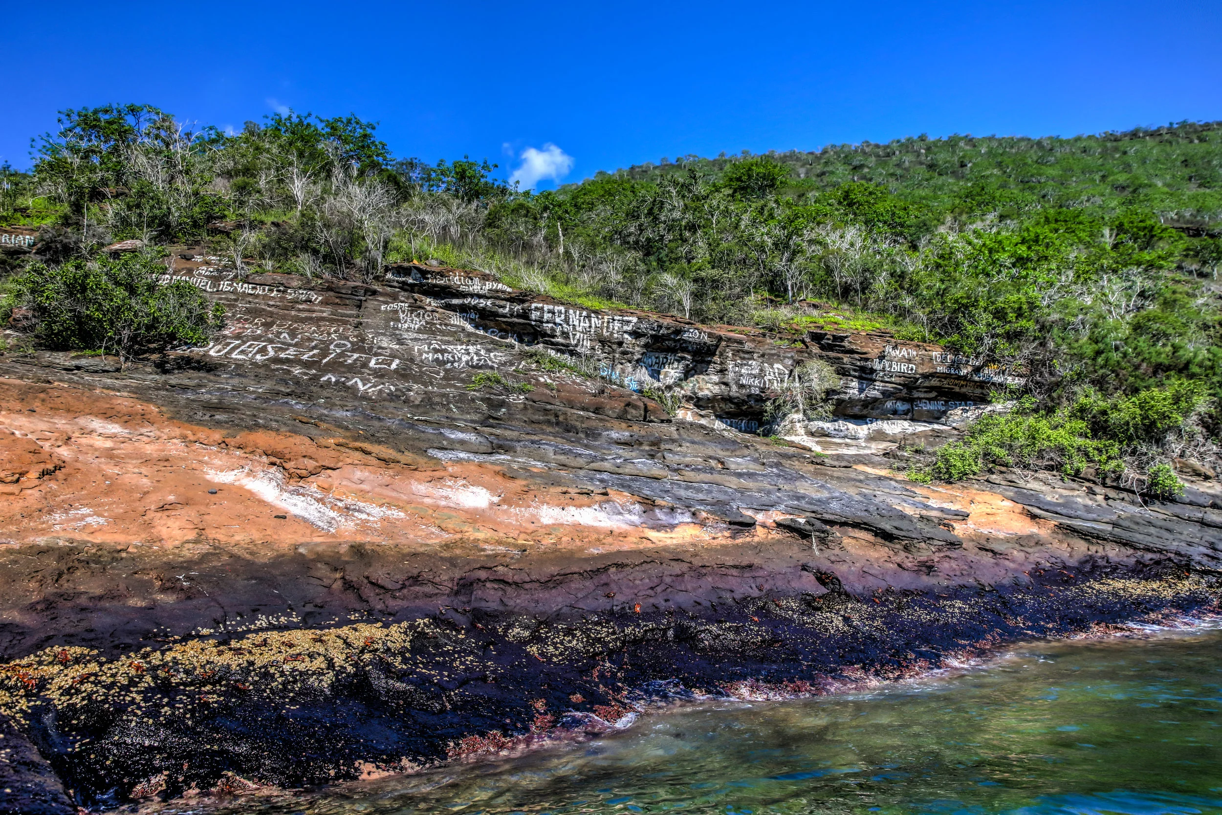 GALAPAGOS DAY 3 B-1.JPG