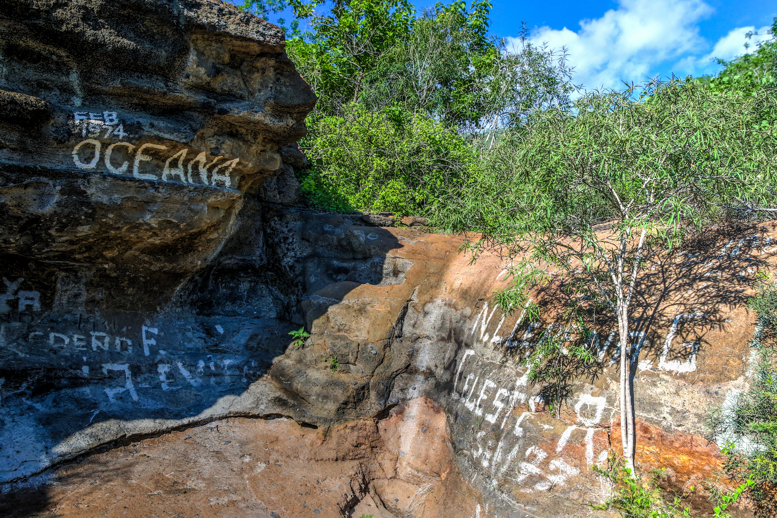 GALAPAGOS DAY 3 B-3.JPG
