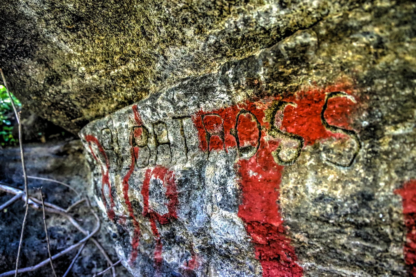 GALAPAGOS DAY 3 B-5.JPG