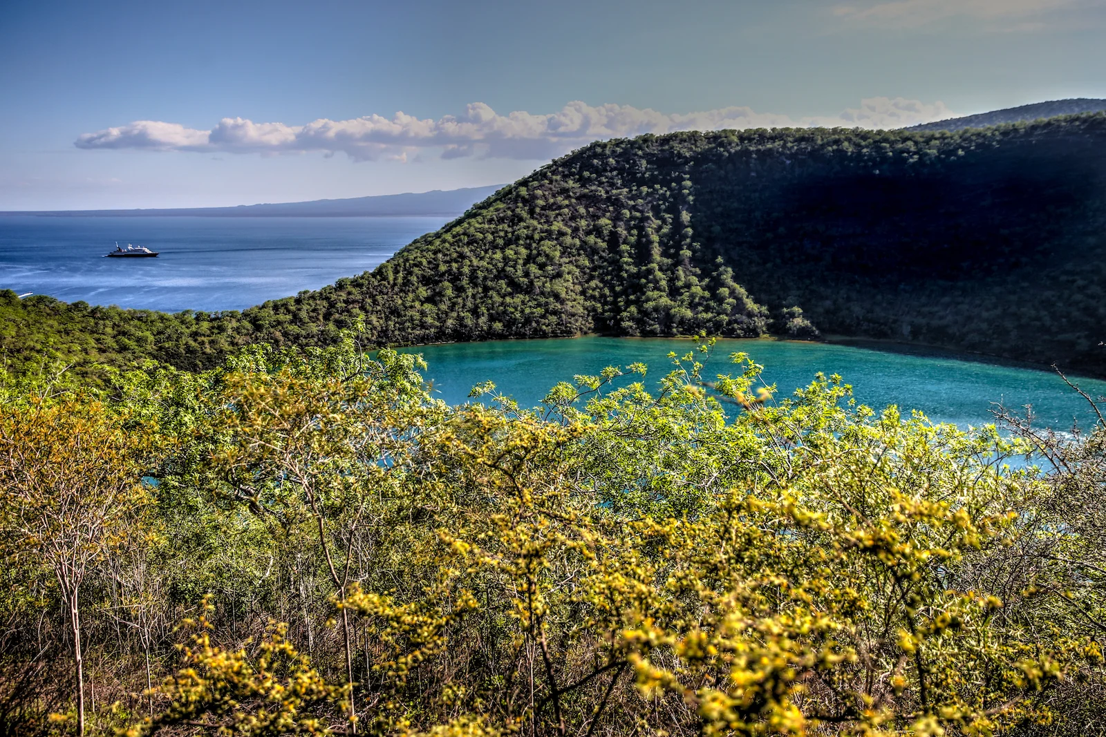 GALAPAGOS DAY 3 B-8.JPG