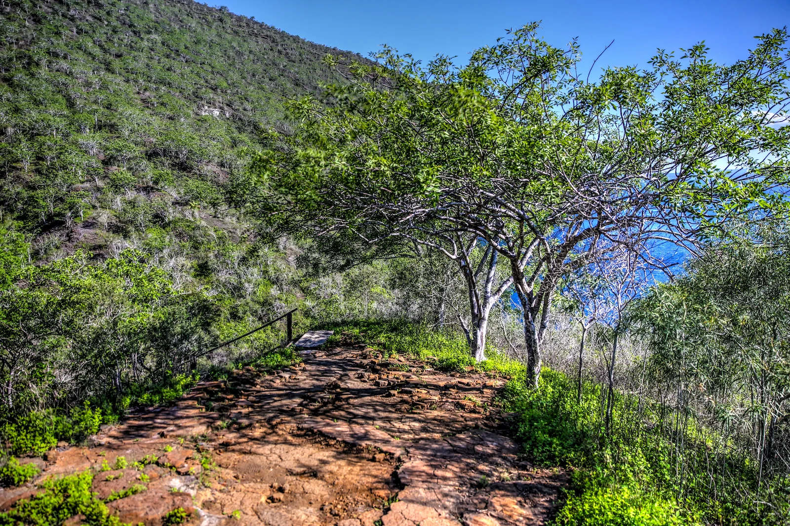 GALAPAGOS DAY 3 B-7.JPG