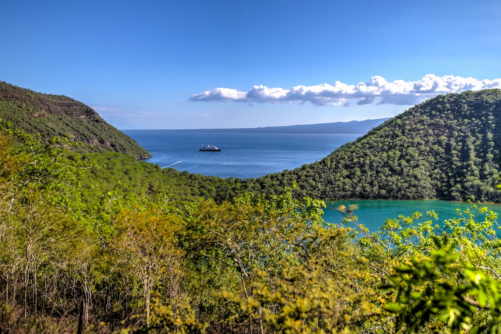 GALAPAGOS DAY 3 B-9.JPG