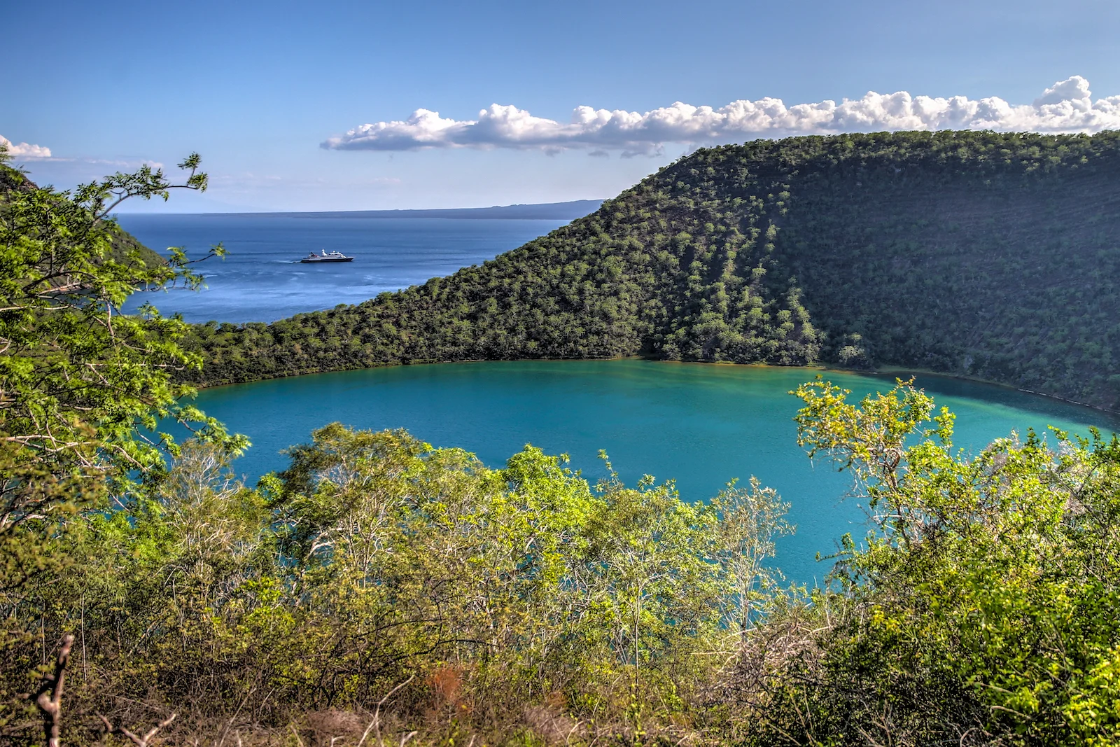 GALAPAGOS DAY 3 B-13.JPG