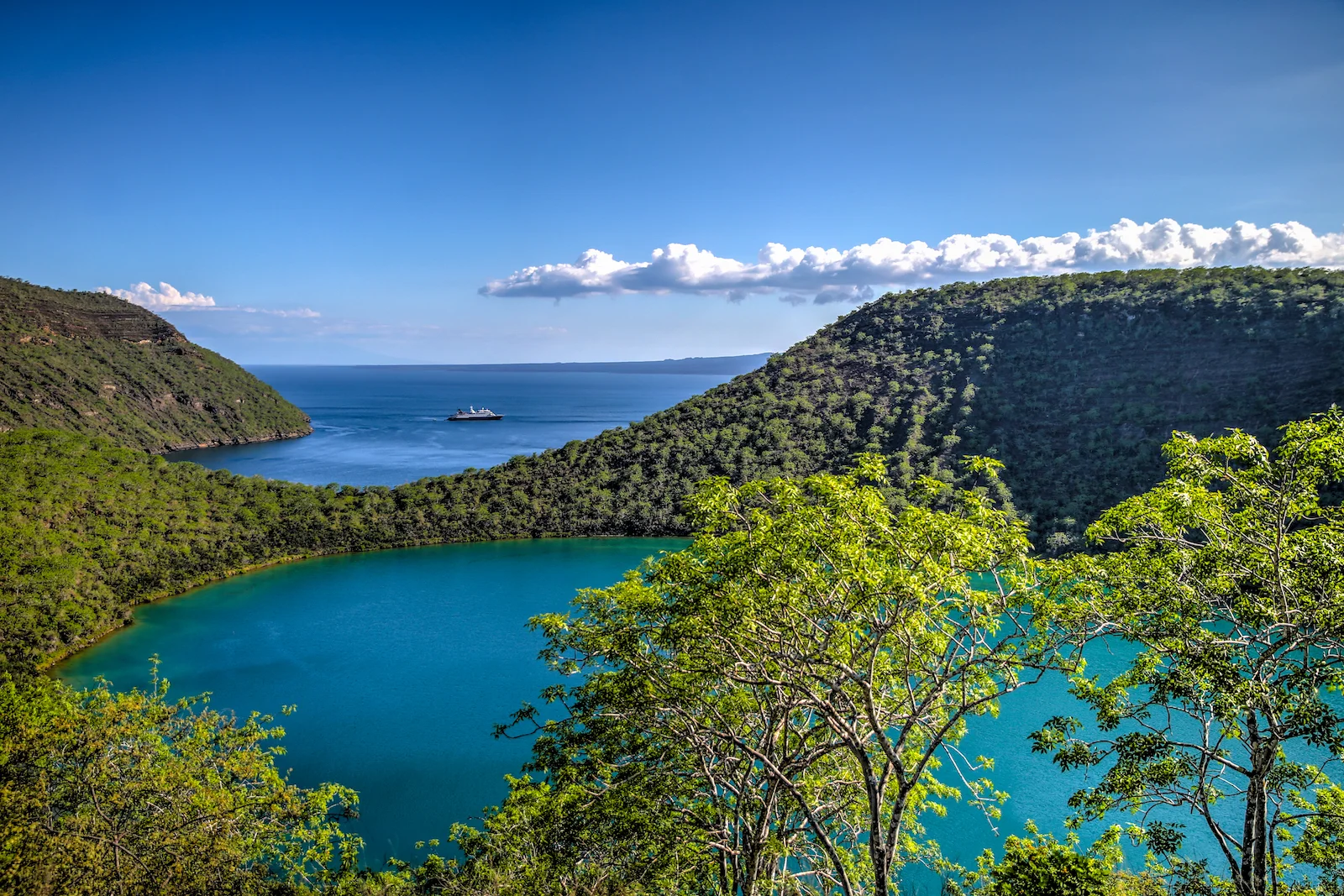 GALAPAGOS DAY 3 B-14.JPG