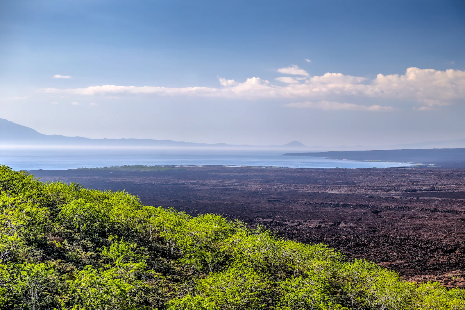 GALAPAGOS DAY 3 B-19.JPG