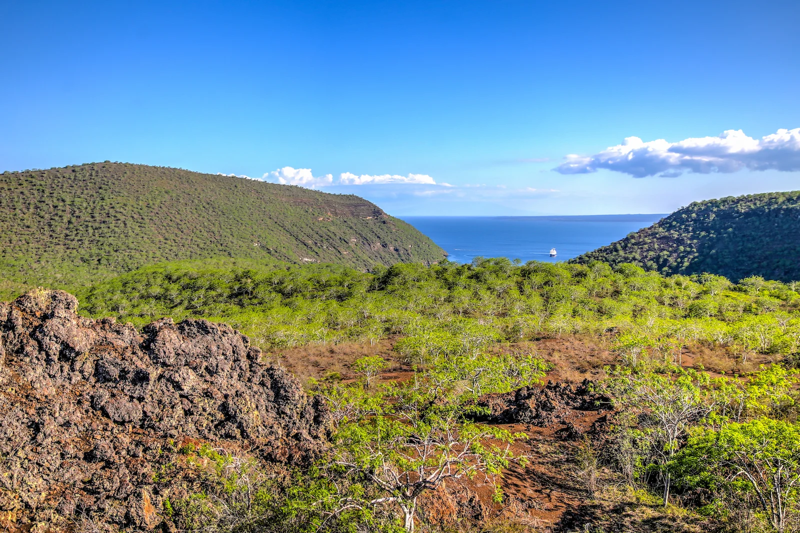 GALAPAGOS DAY 3 B-18.JPG