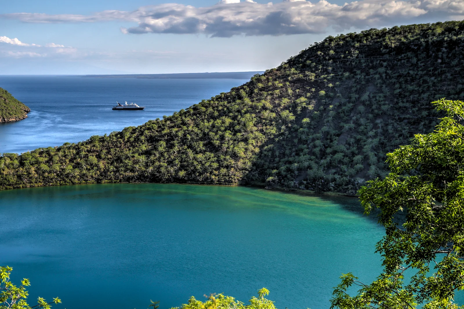 GALAPAGOS DAY 3 B-20.JPG