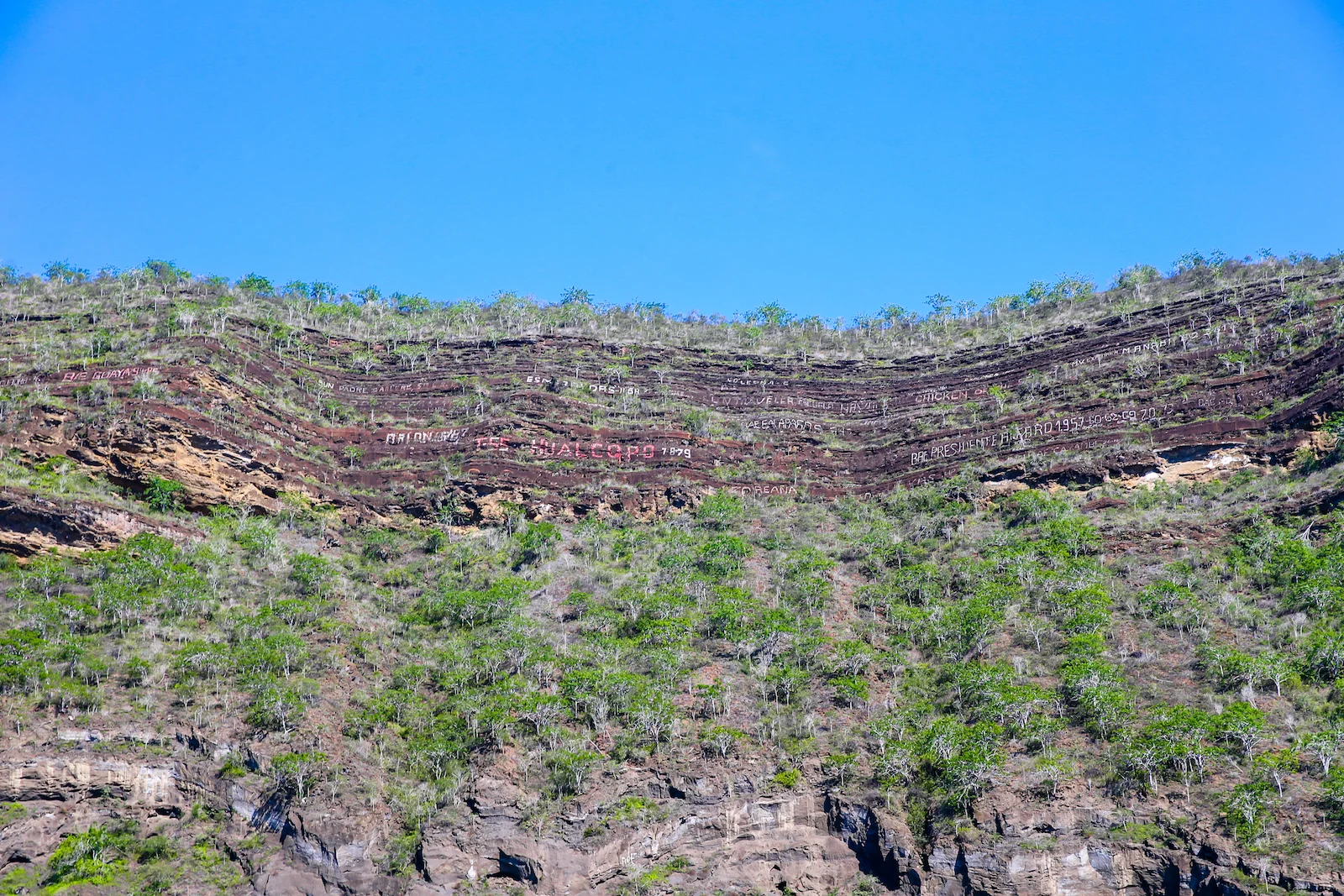 GALAPAGOS DAY 3 B-22.JPG