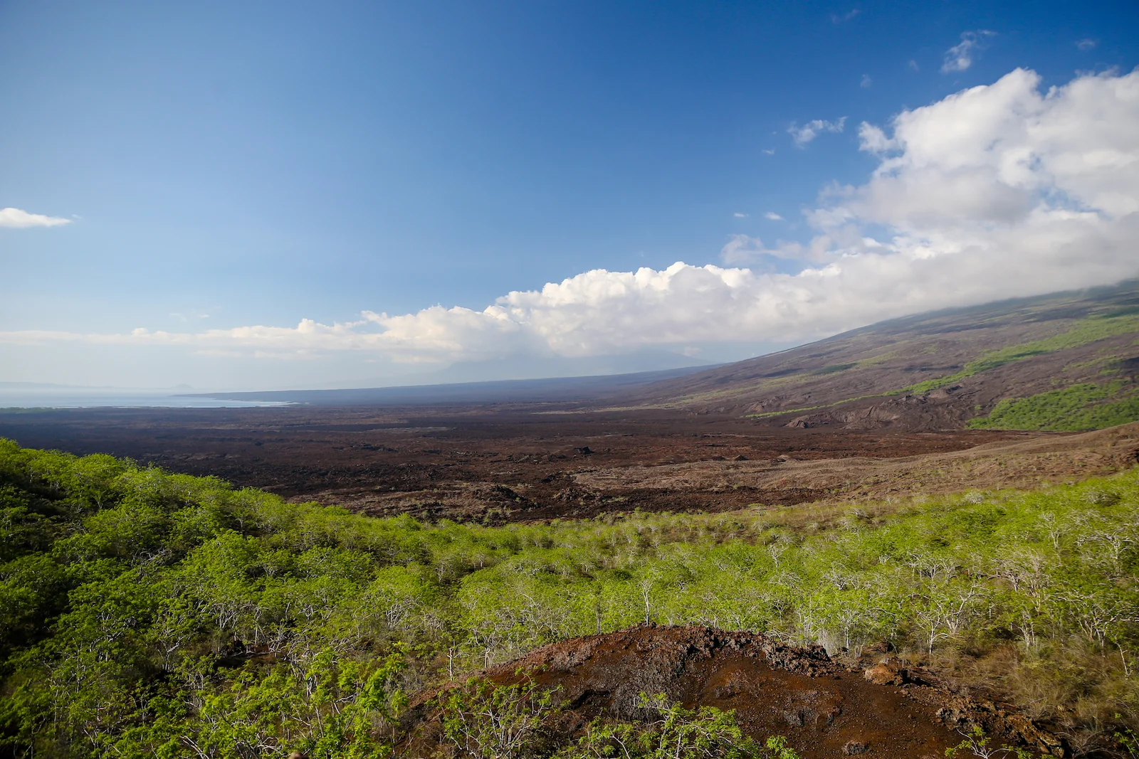 GALAPAGOS DAY 3 B-24.JPG