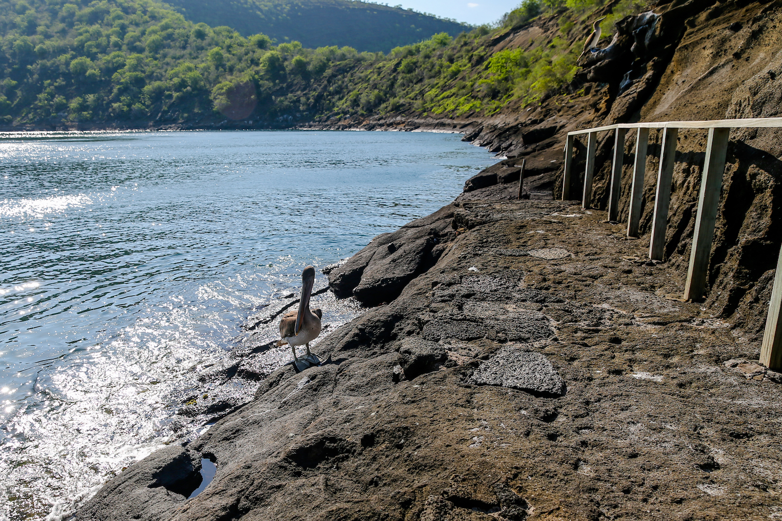 GALAPAGOS DAY 3 B-23.JPG