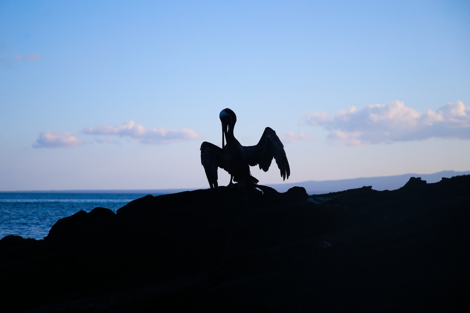 GALAPAGOS DAY 3 B-26.JPG