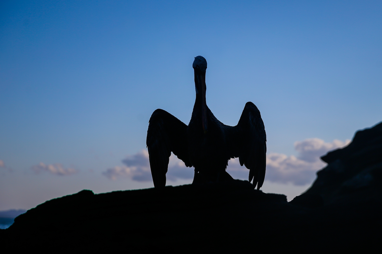 GALAPAGOS DAY 3 B-27.JPG