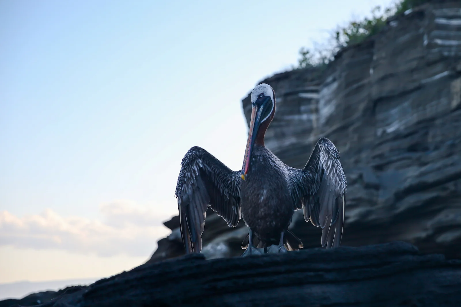GALAPAGOS DAY 3 B-28.JPG