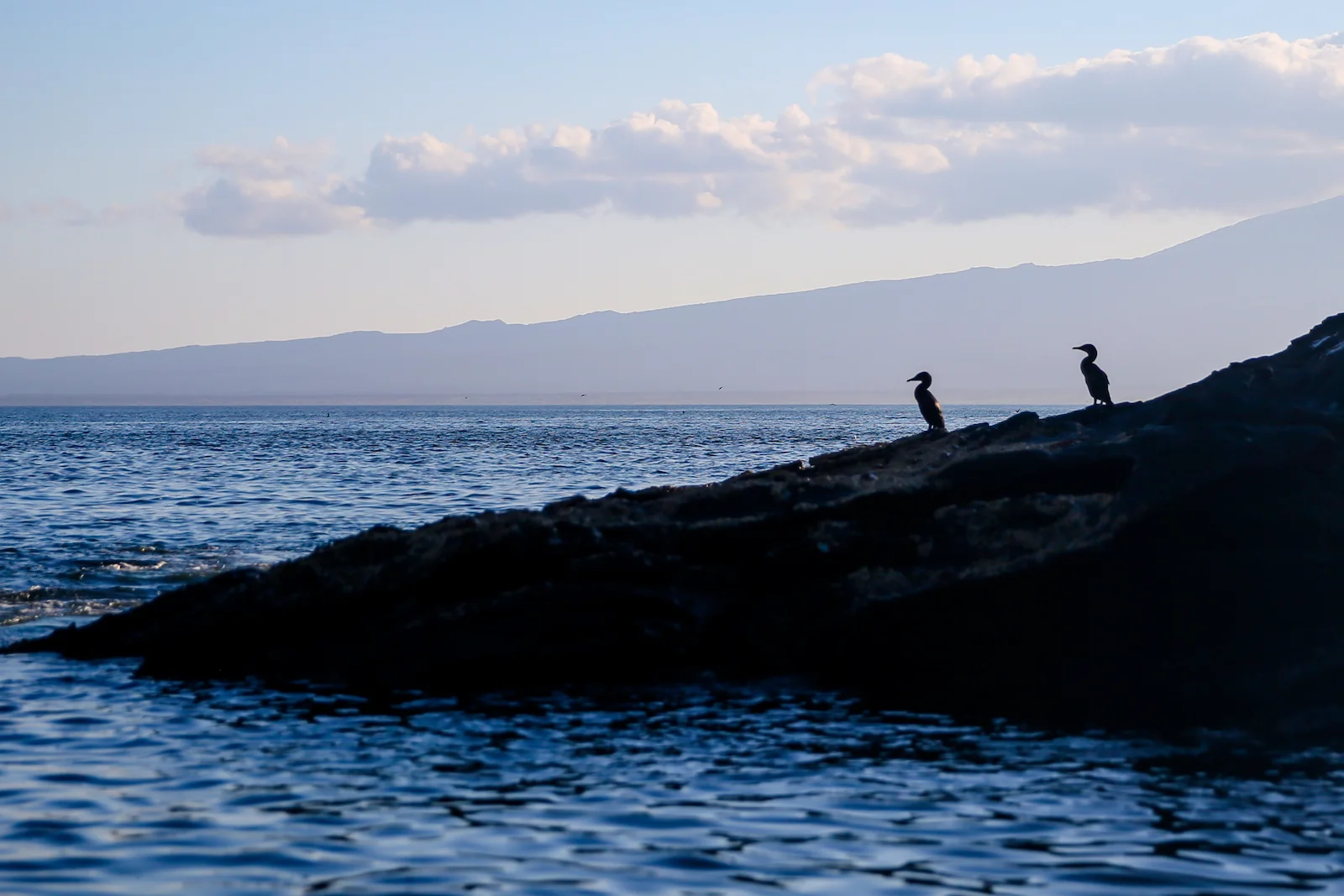 GALAPAGOS DAY 3 B-29.JPG