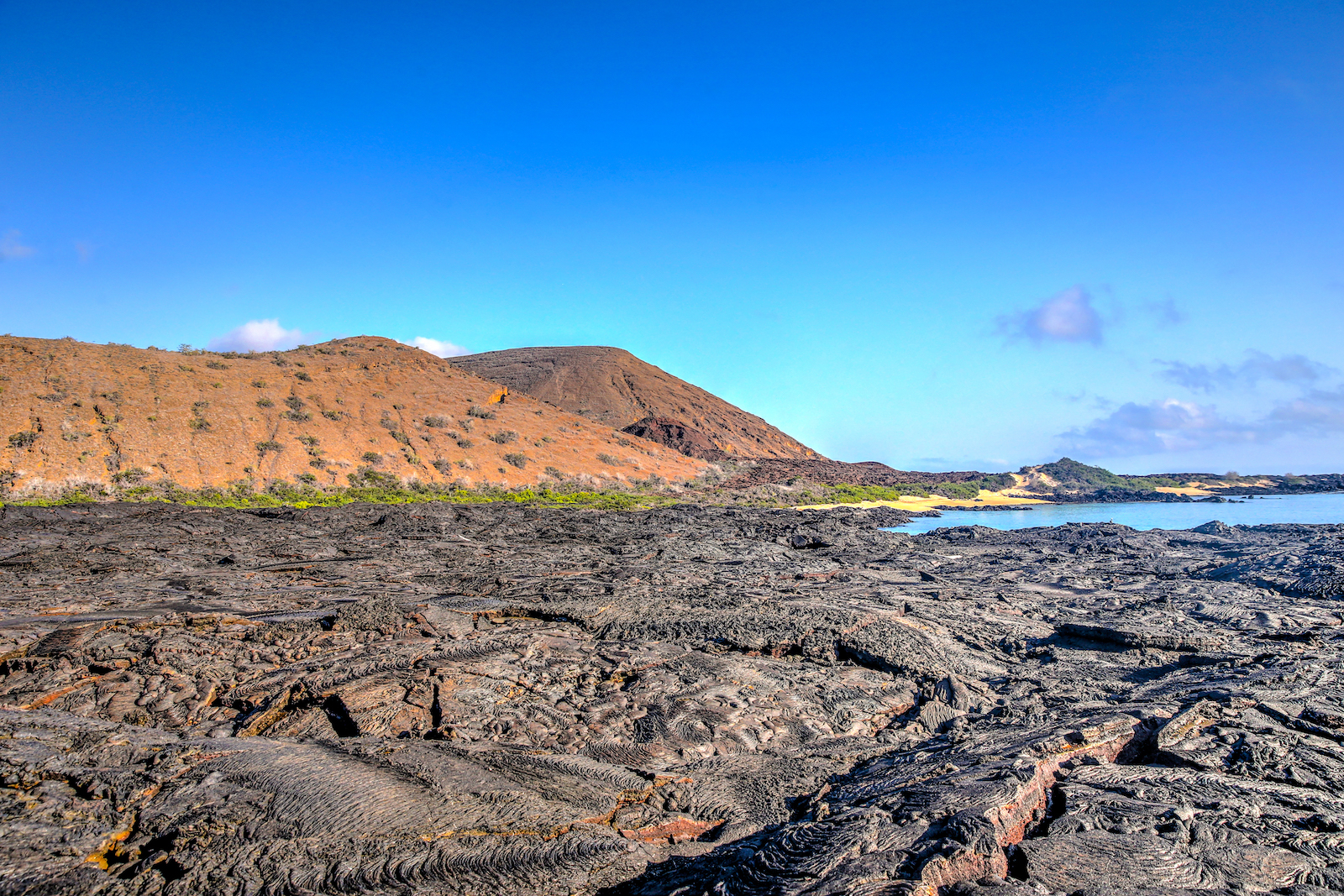 GALAPAGOS DAY 4 A-2.JPG