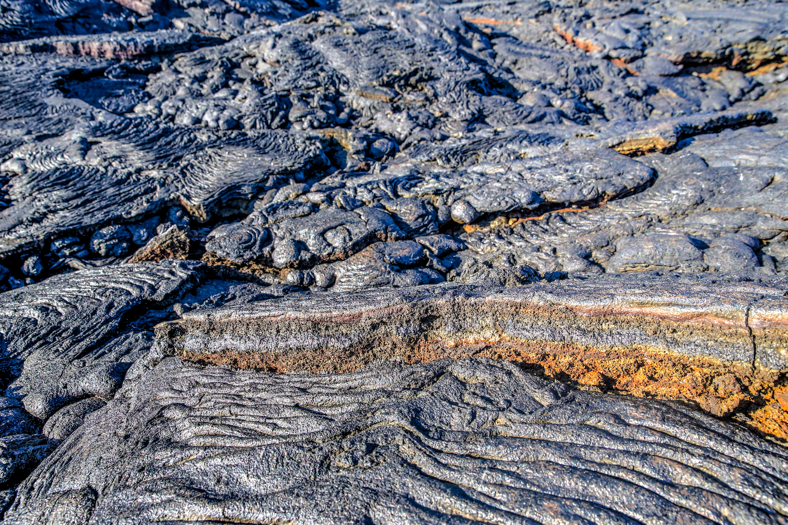 GALAPAGOS DAY 4 A-3.JPG