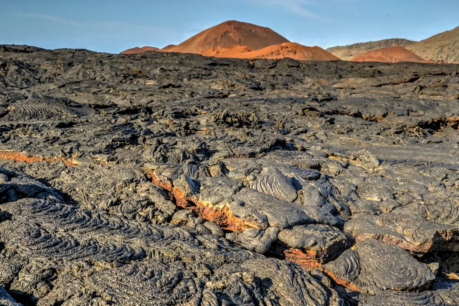 GALAPAGOS DAY 4 A-5.JPG