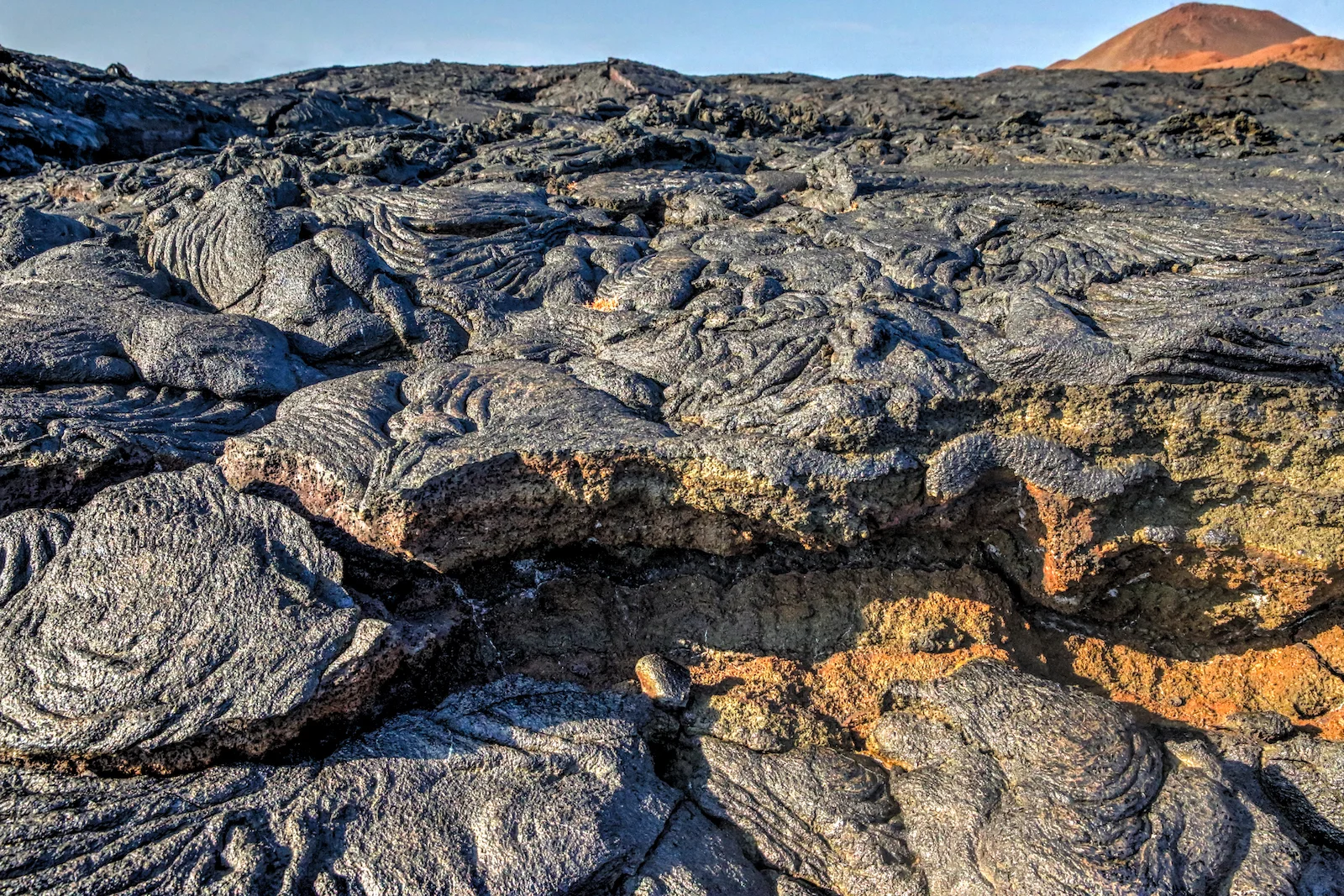 GALAPAGOS DAY 4 A-6.JPG