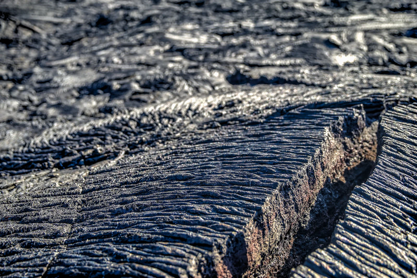 GALAPAGOS DAY 4 A-7.JPG