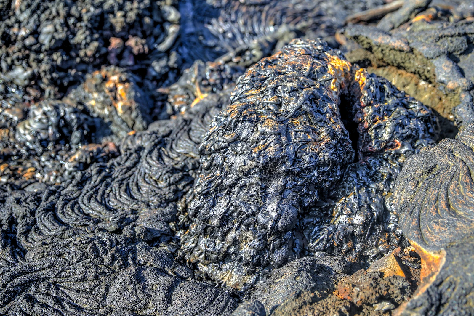 GALAPAGOS DAY 4 A-8.JPG