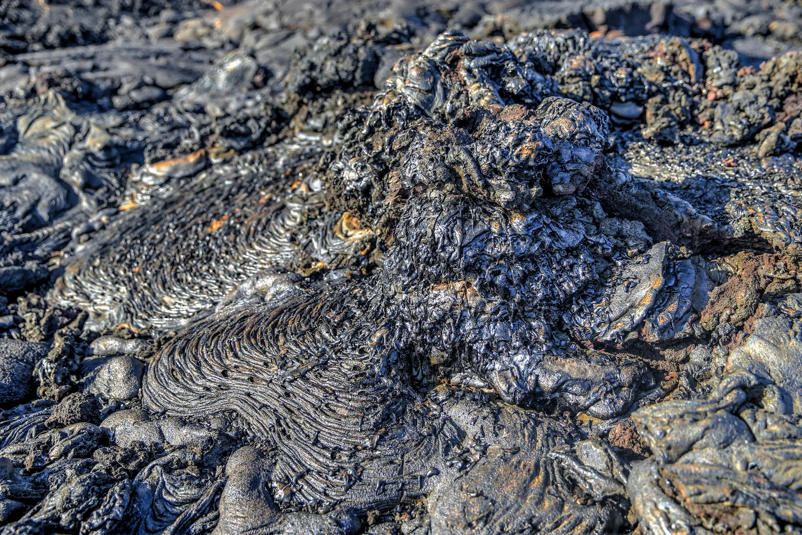 GALAPAGOS DAY 4 A-9.JPG