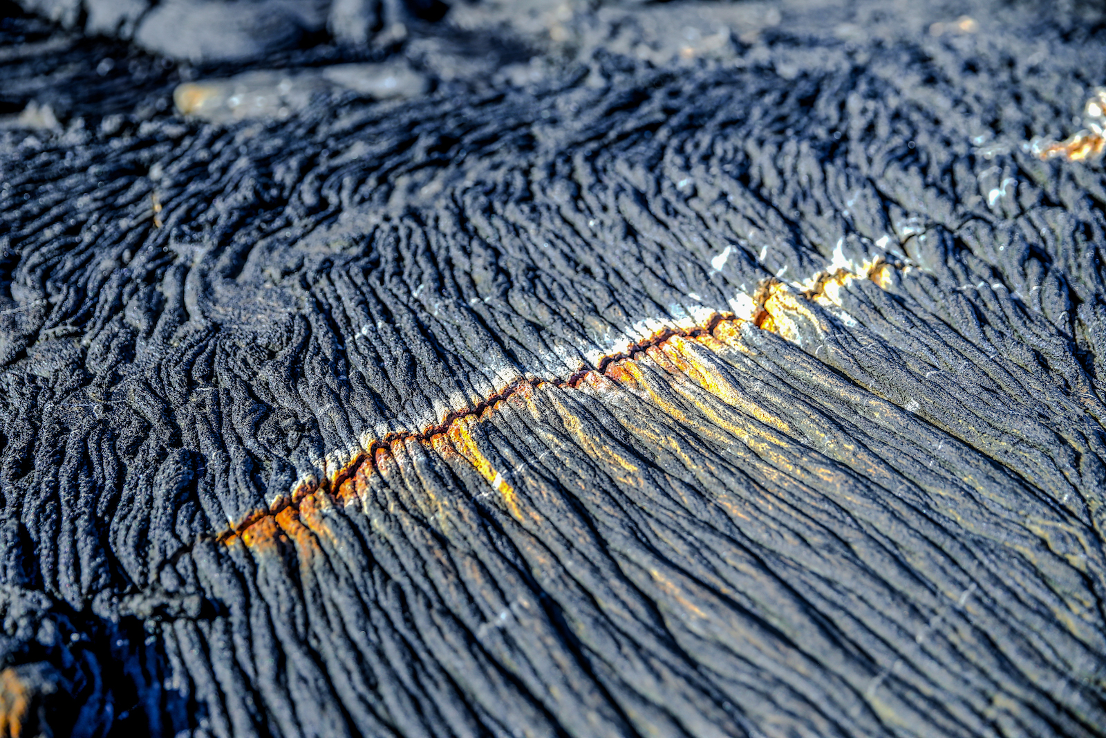 GALAPAGOS DAY 4 A-12.JPG