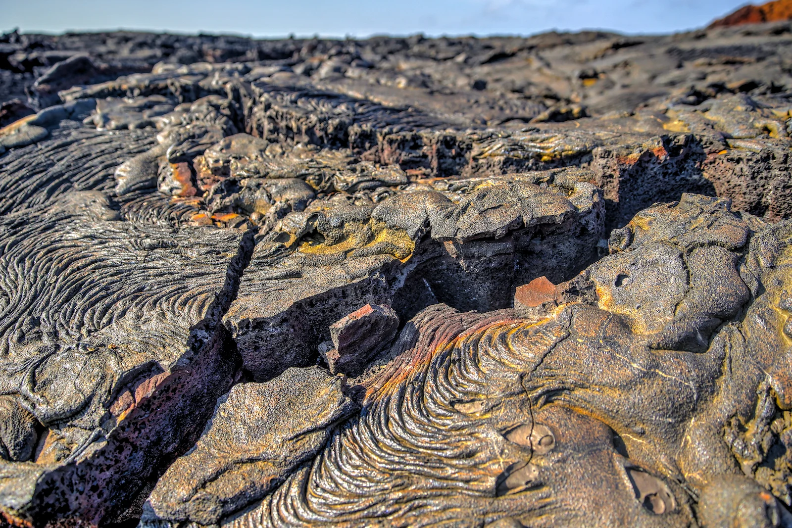 GALAPAGOS DAY 4 A-15.JPG