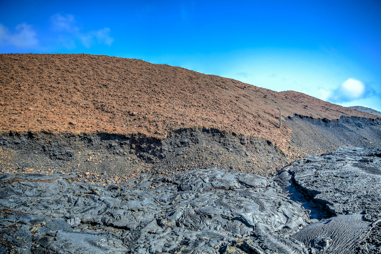 GALAPAGOS DAY 4 A-16.JPG