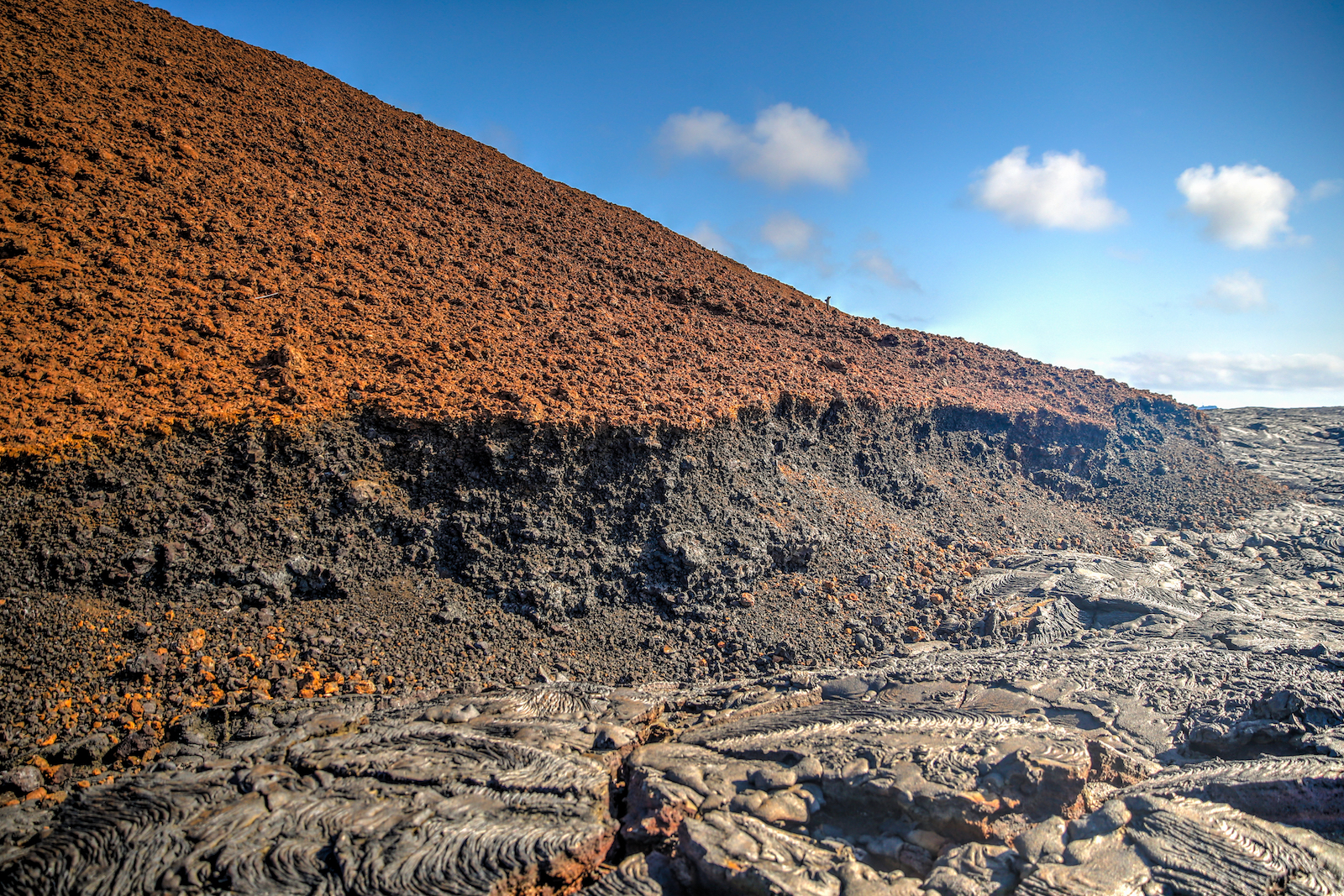 GALAPAGOS DAY 4 A-17.JPG