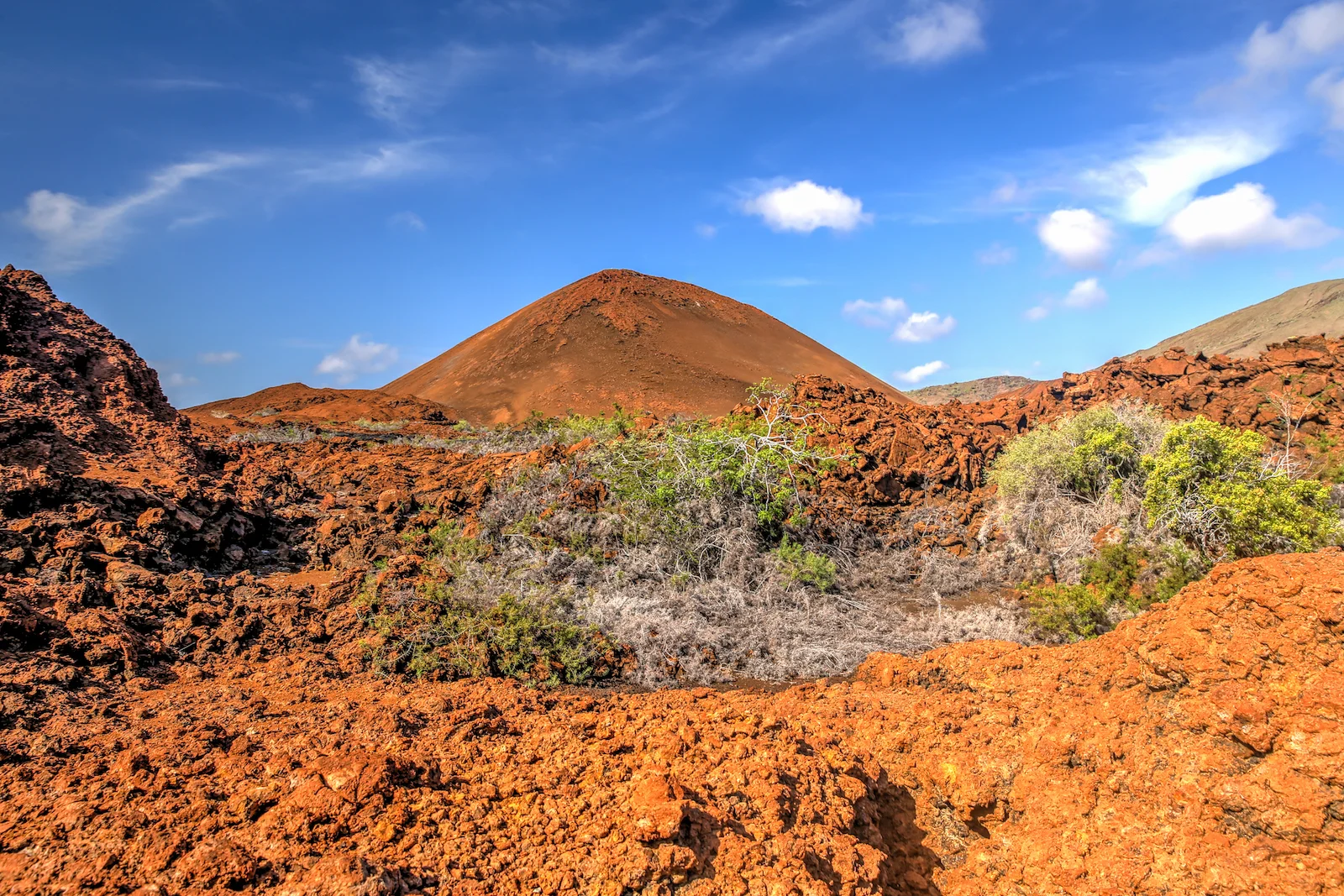 GALAPAGOS DAY 4 A-22.JPG