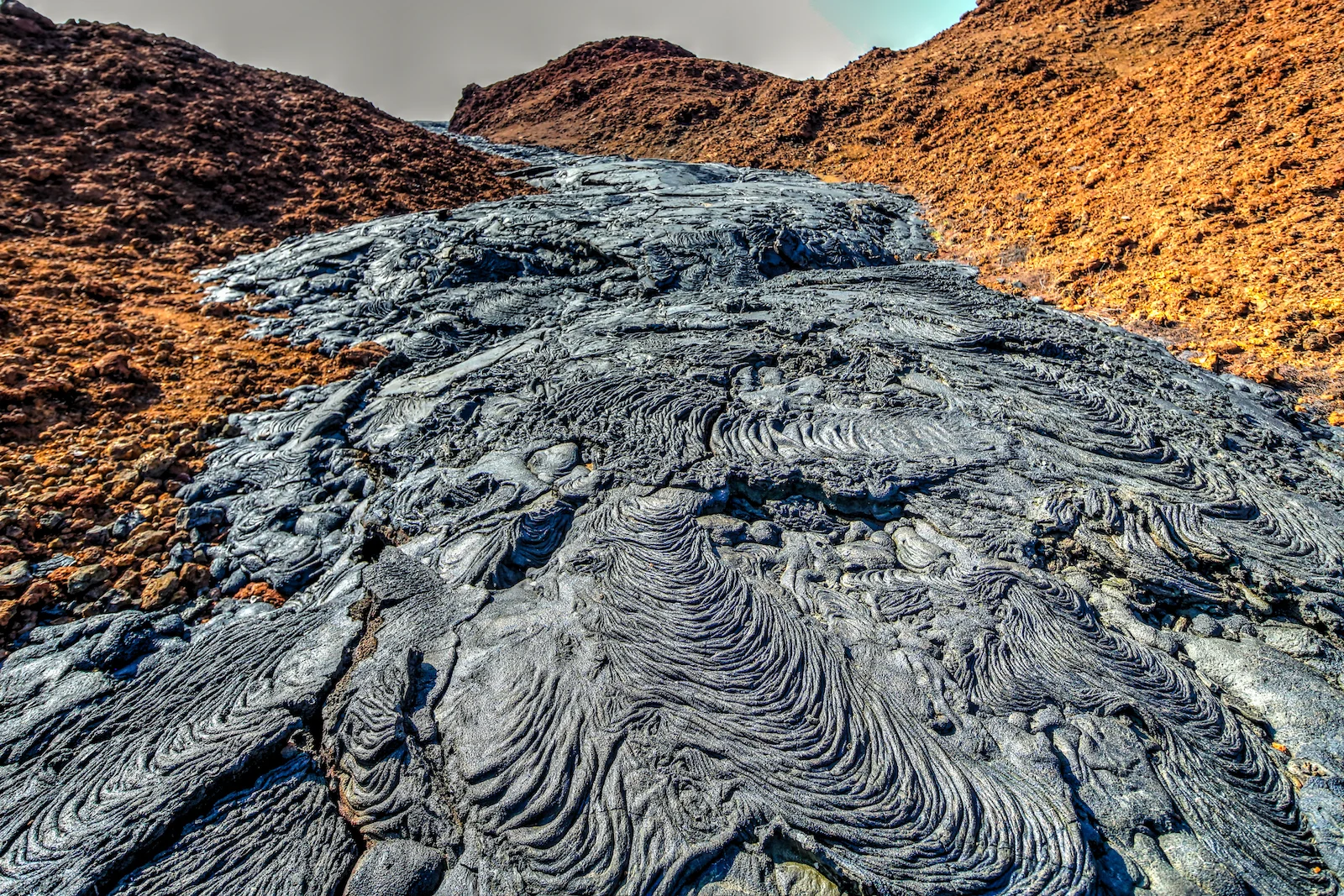 GALAPAGOS DAY 4 A-21.JPG