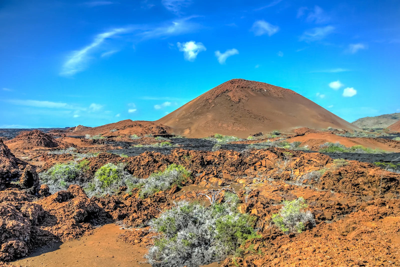 GALAPAGOS DAY 4 A-23.JPG