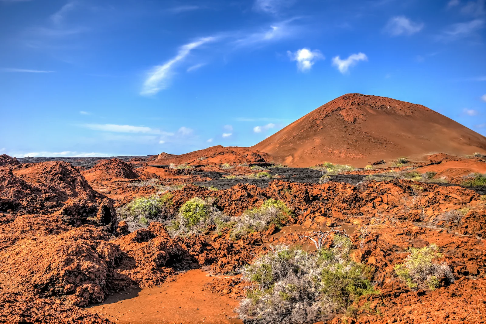 GALAPAGOS DAY 4 A-24.JPG