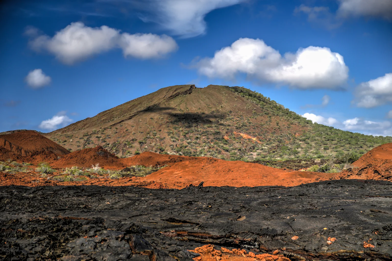 GALAPAGOS DAY 4 A-26.JPG