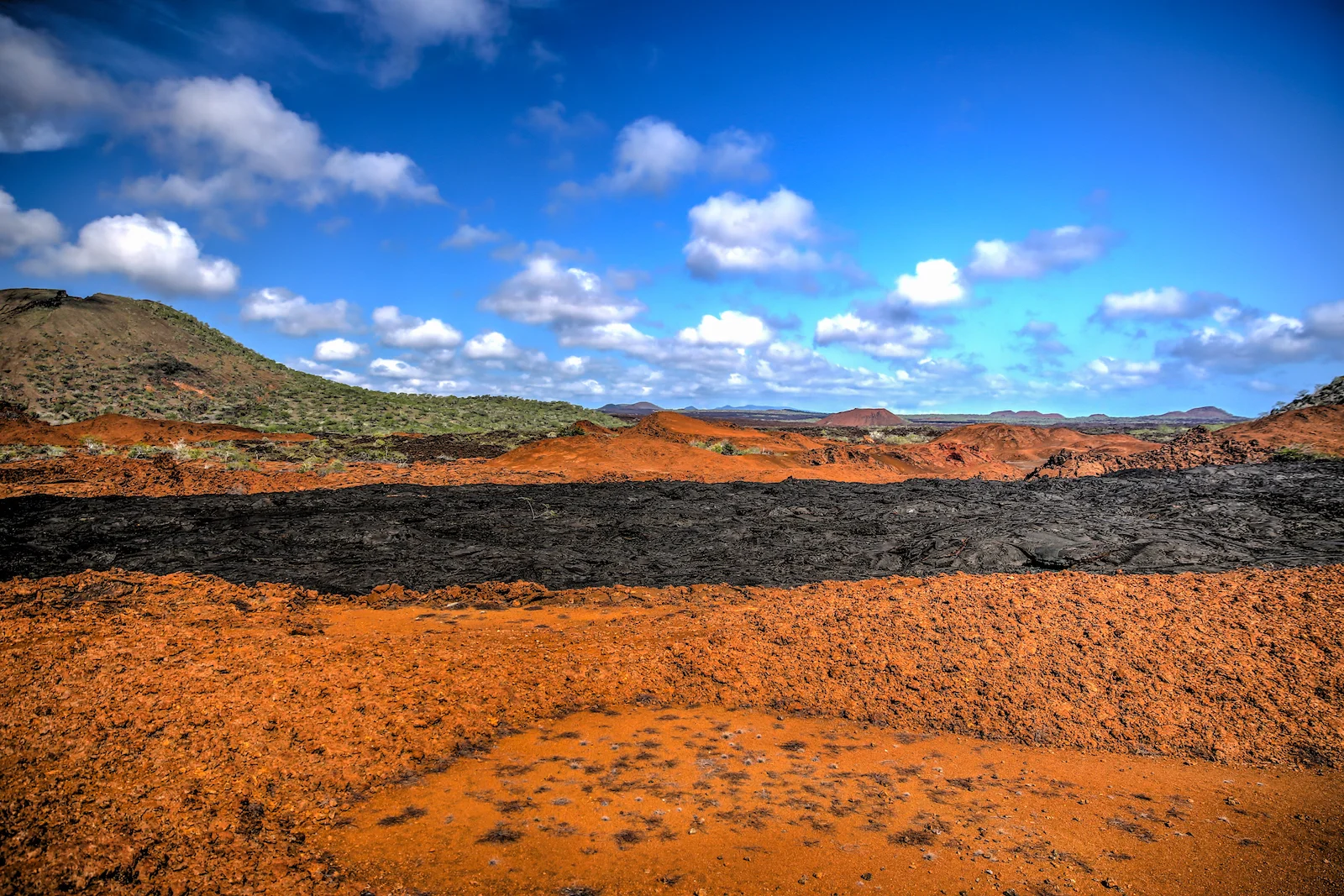 GALAPAGOS DAY 4 A-25.JPG