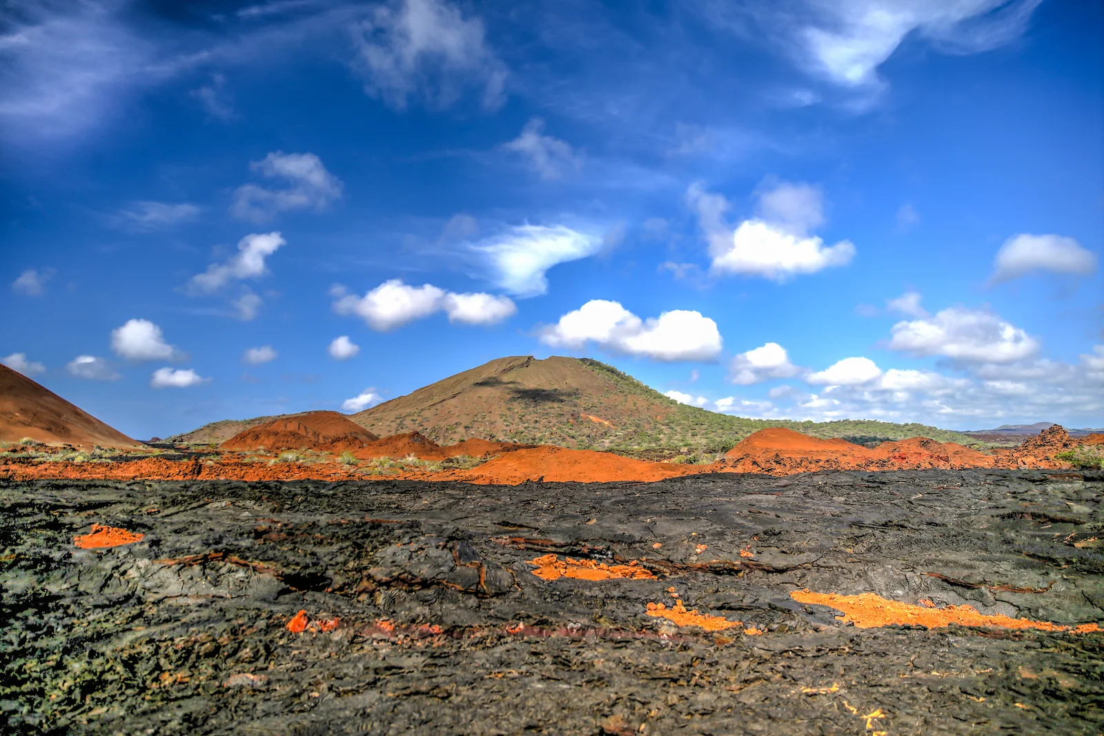 GALAPAGOS DAY 4 A-27.JPG