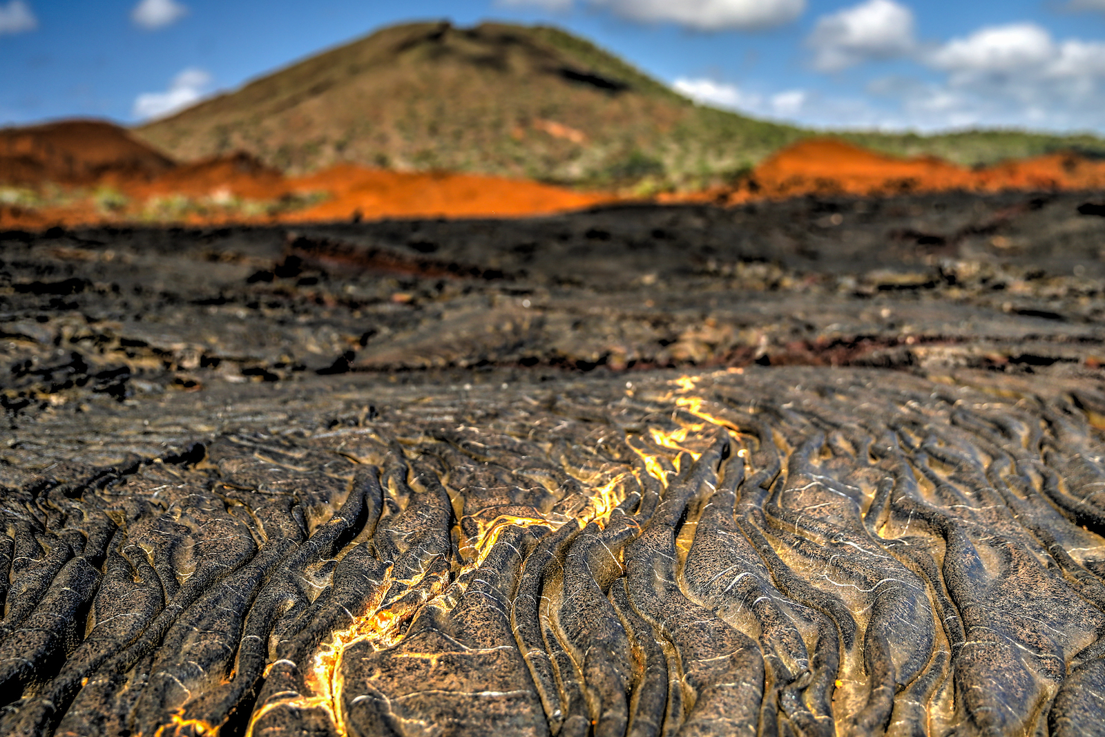 GALAPAGOS DAY 4 A-28.JPG