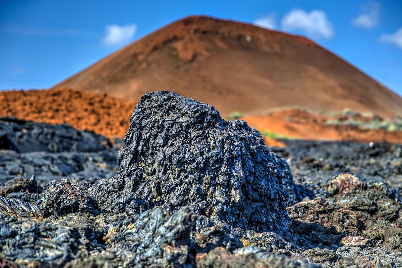 GALAPAGOS DAY 4 A-29.JPG