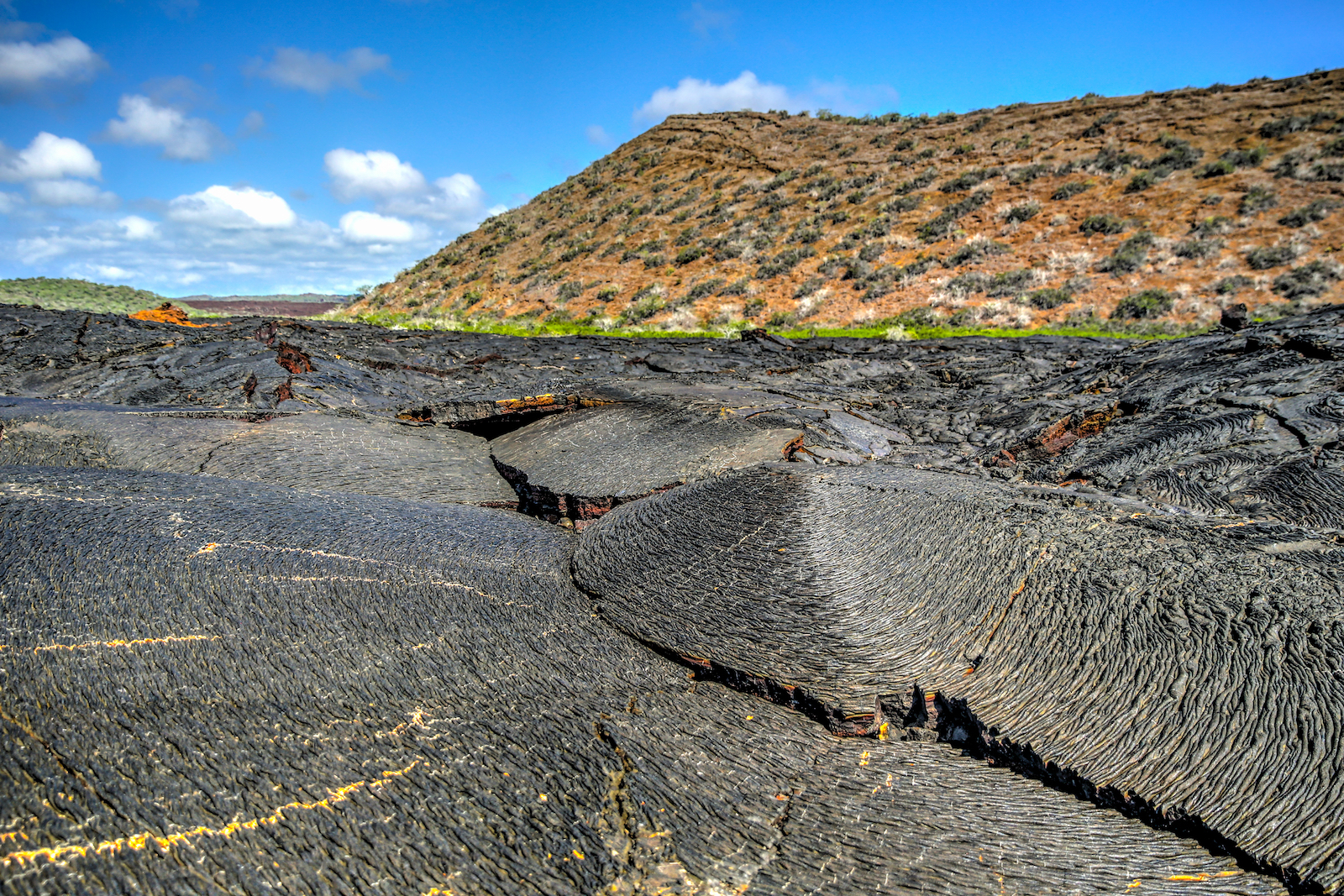 GALAPAGOS DAY 4 A-32.JPG