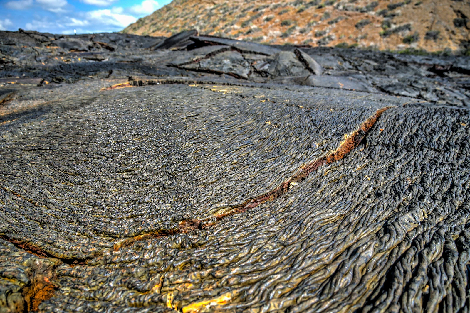GALAPAGOS DAY 4 A-33.JPG