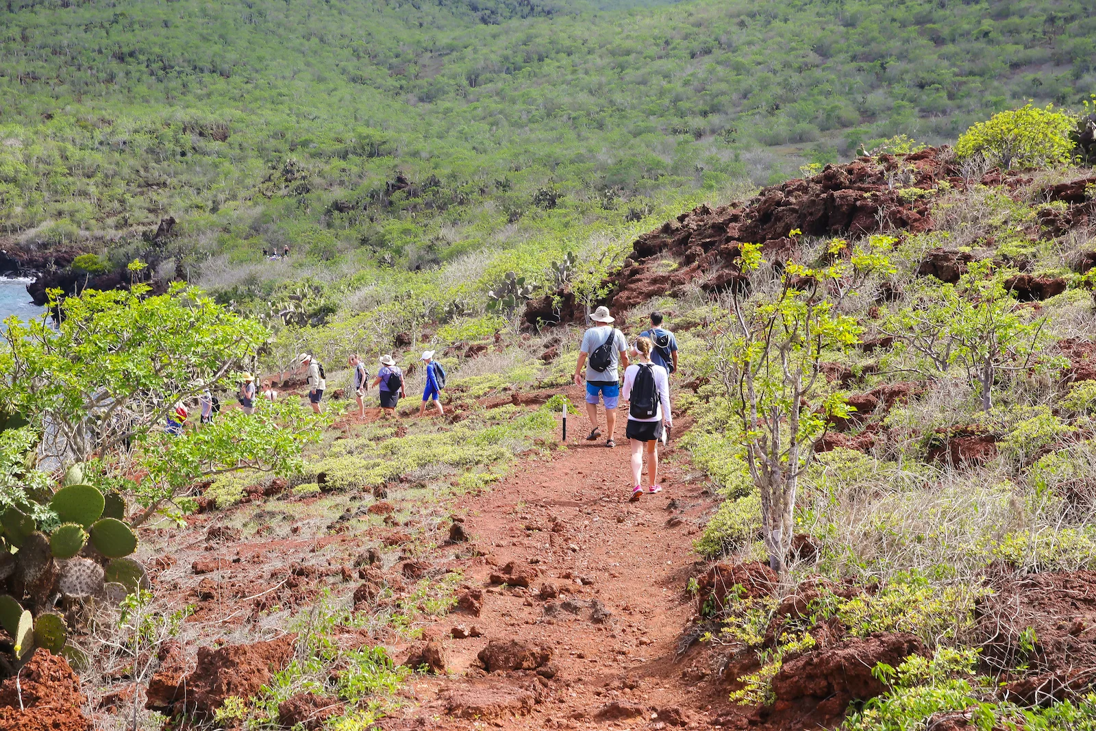 GALAPAGOS FAMILY-24.JPG