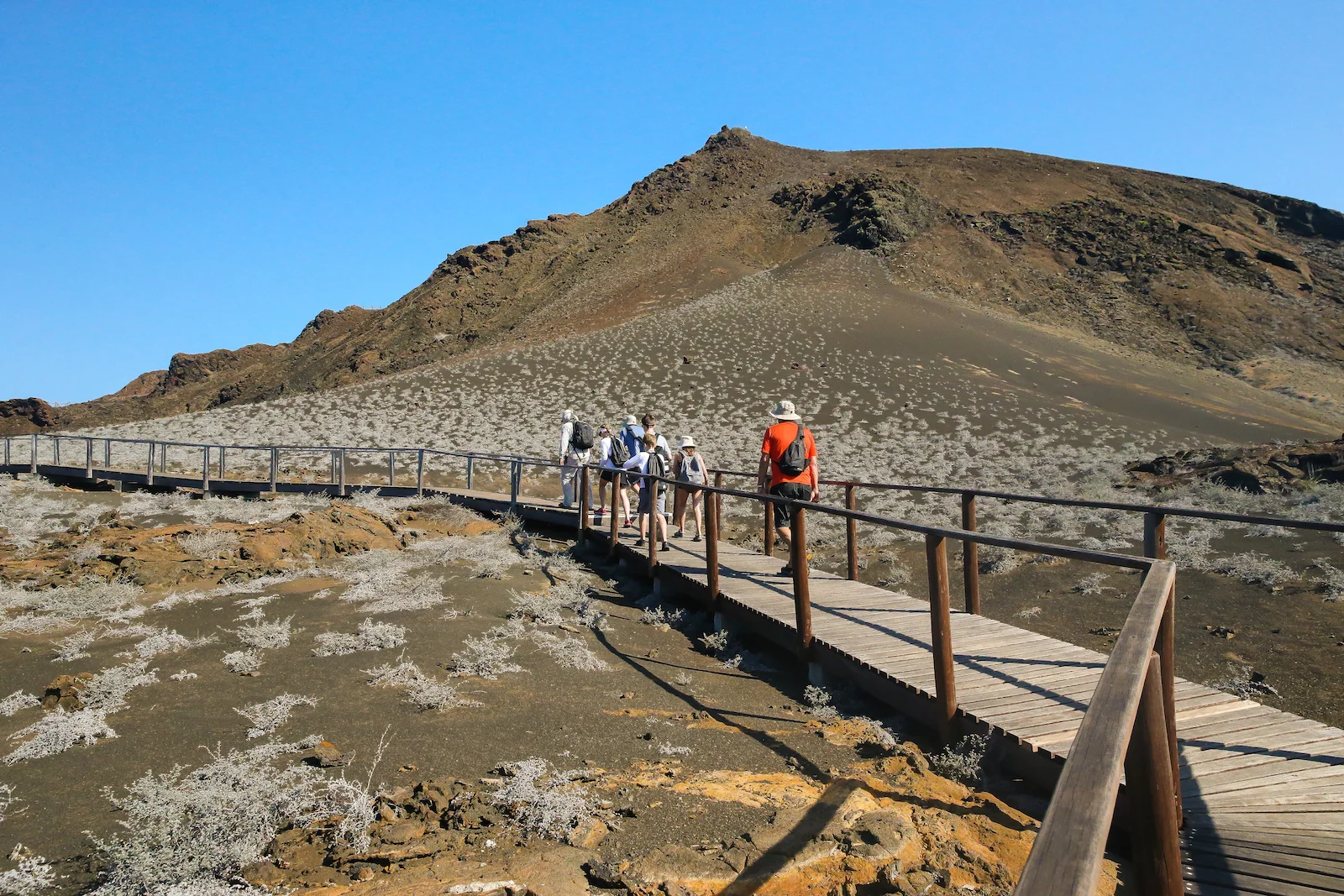 GALAPAGOS FAMILY-34.JPG