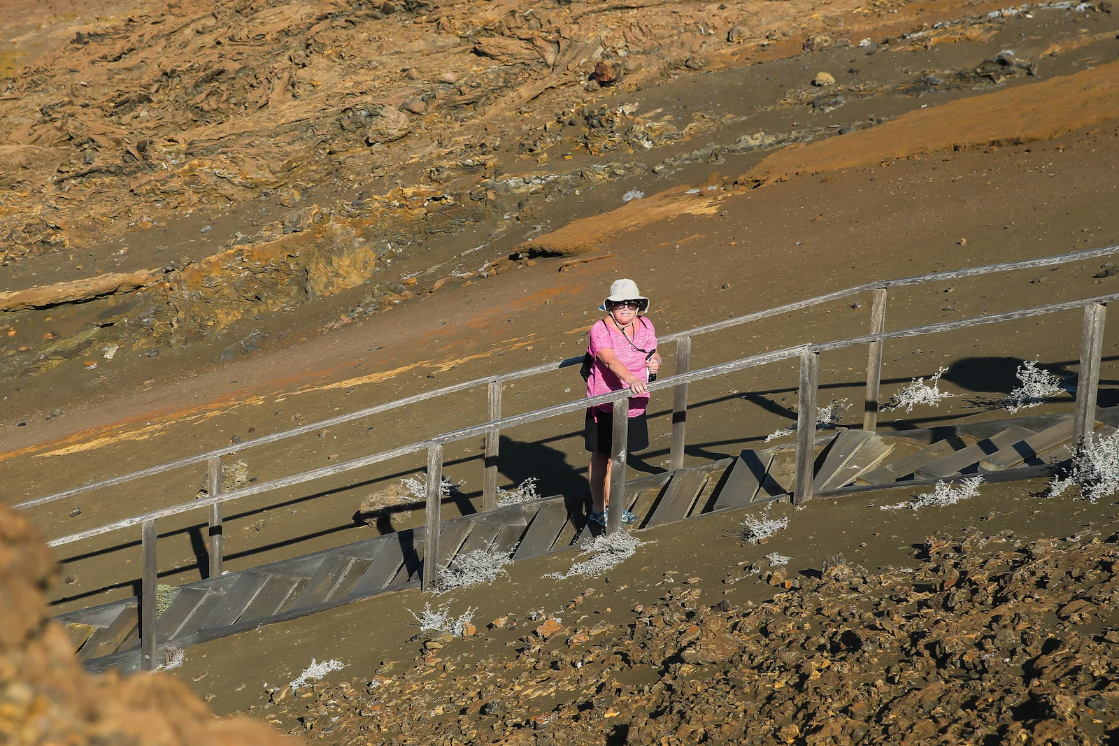 GALAPAGOS FAMILY-37.JPG