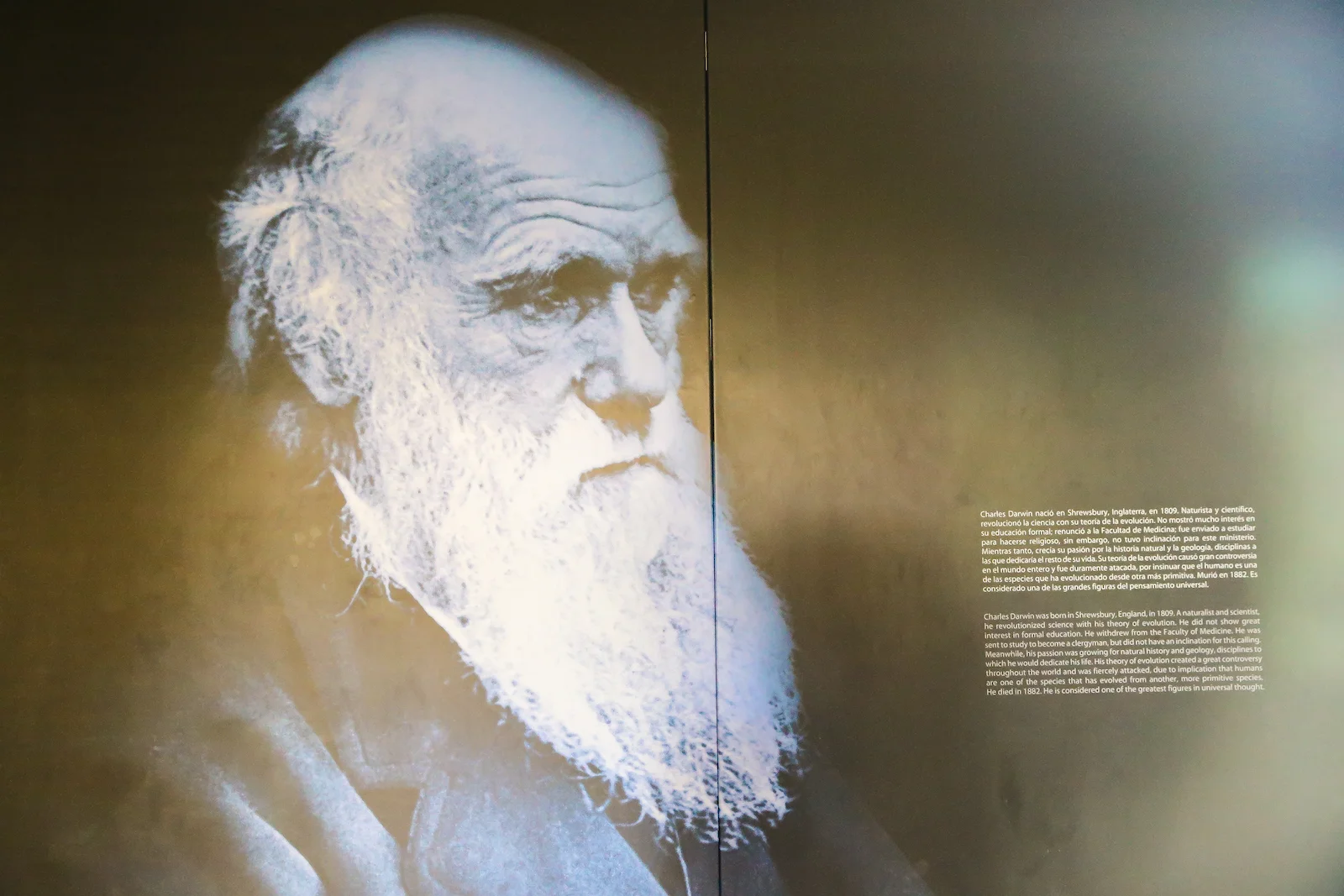 GALAPAGOS FAMILY-52.JPG